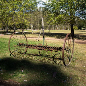 sample-image